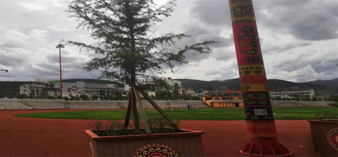 1564727593257717.jpg 1564727593257717.jpg