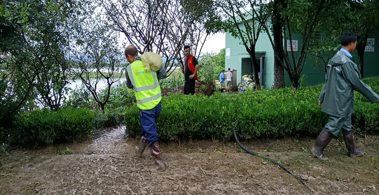 1627441889218577.png 1627441889218577.png