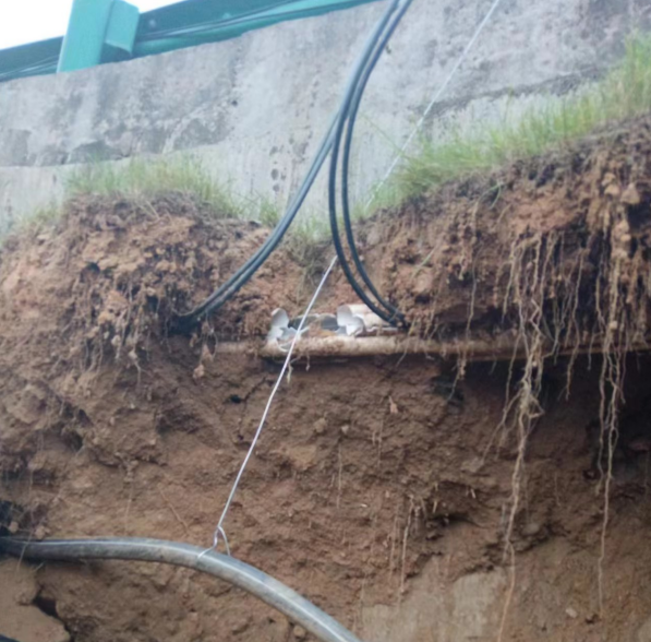 1737709169814613.png 图片关键词