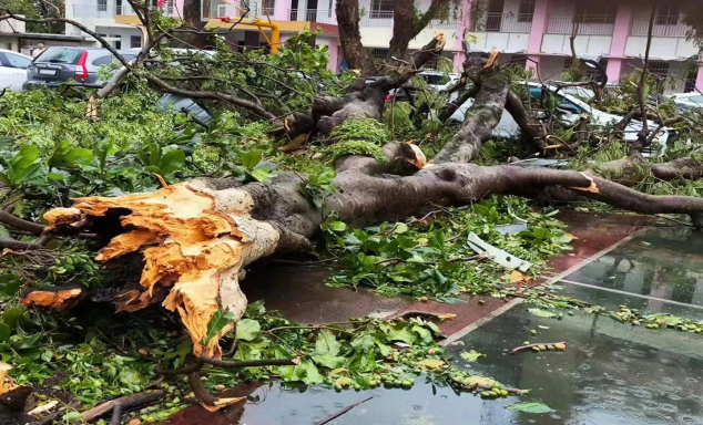 1739175229650626.png 1739175229650626.png